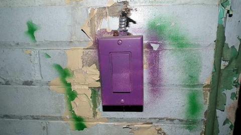 Photo from 30/09/2015 - No Teenagers Here