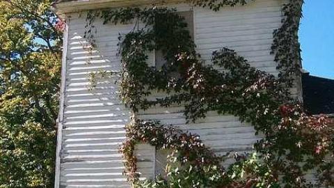 Gone... - Big-white-house22.jpg