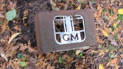 Forgotten Truck Graveyard photo 4