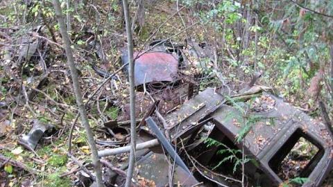 Forgotten Truck Graveyard photo 2
