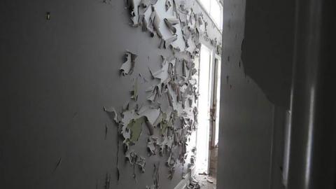 Peeling Paint - s-IMG_3446.jpg