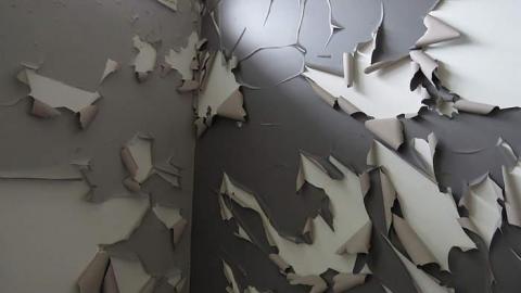 Peeling Paint - a-IMG_3449.jpg