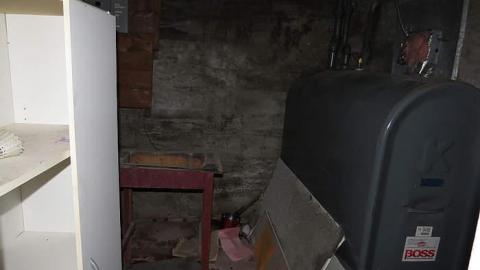 Peeling Paint - w-IMG_3456.jpg