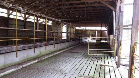 Silos - v-IMG_3423.jpg