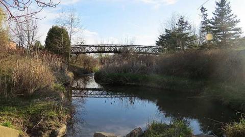 Fishlock Drain photo 4