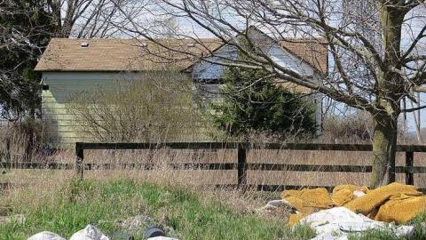 Building Out Back - Granny-Cocks-House42.jpg