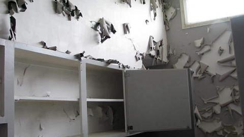 Peeling and Trashed - 2016 2.jpg