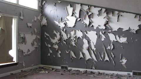 Peeling and Trashed - 2016 3.jpg