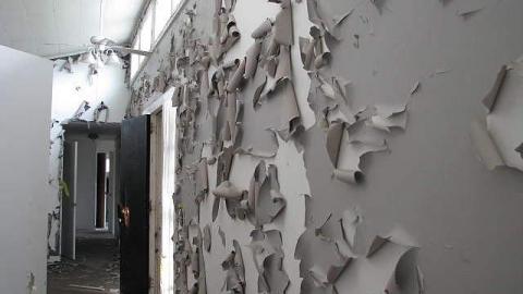 Peeling and Trashed - 2016 4.jpg