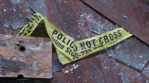 Peeling and Trashed - 2016 5.jpg