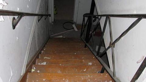 Peeling and Trashed - 2016 6.jpg