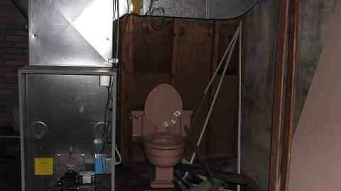 Peeling and Trashed - 2016 15.jpg