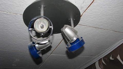 Peeling and Trashed - 2016 16.jpg