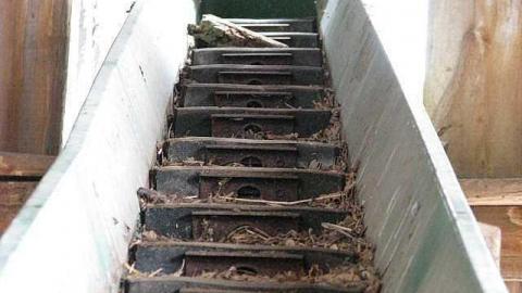 Back in 2016 - 8.jpg