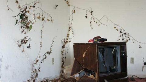 April 2016 - The-Plainsman-Restaurant222.jpg