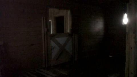 Photo from The Stable