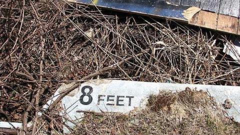 Dry 'n Tame - Wet-And-Wild-Waterpark287.jpg