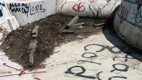 Photo from Dry 'n Tame