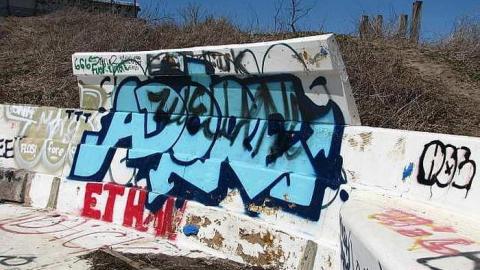 Photo from Dry 'n Tame