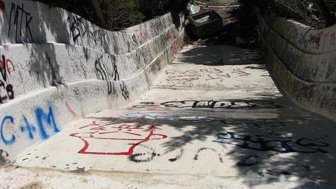 Photo from Dry 'n Tame