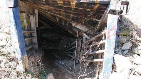 Dry 'n Tame - Wet-And-Wild-Waterpark295.jpg