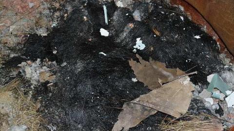 May 2016: House 1 - Teston-Road-Double-Feature55.jpg