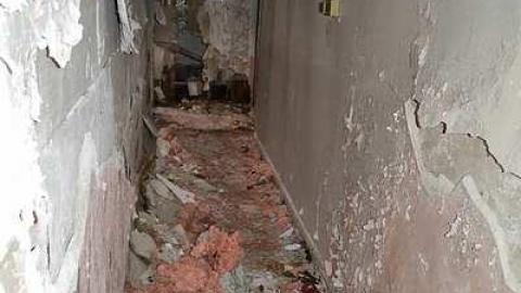 May 2016: House 1 - Teston-Road-Double-Feature57.jpg