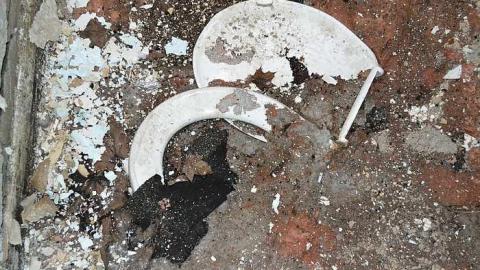 May 2016: House 1 - Teston-Road-Double-Feature59.jpg