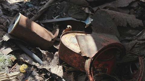 Photo from May 8, 2016