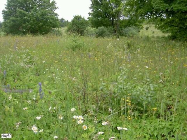 Horncastle (ghost community) - Kawartha Lakes, Ontario