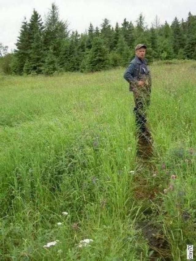 Horncastle (ghost community) photo 3