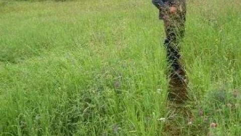 Horncastle Exists Once More - Picture 010.jpg