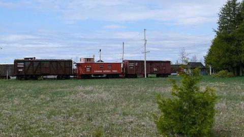 Wash-n-go - Washago-Assorted6.jpg