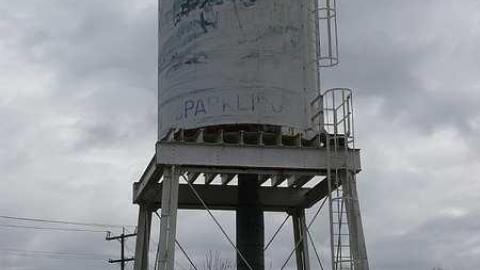 Wash-n-go - Washago-Assorted7.jpg