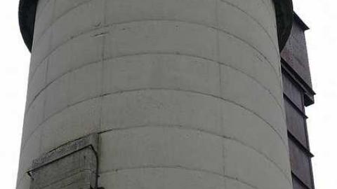 Wash-n-go - Washago-Assorted12.jpg