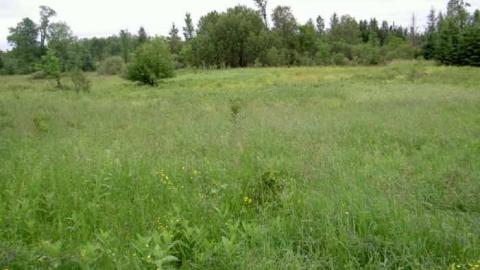 Horncastle Exists Once More - Picture 011.jpg