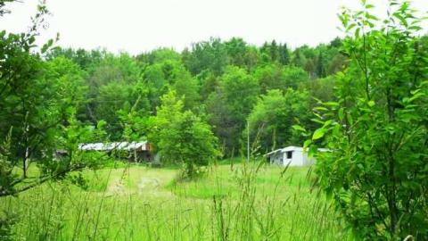 old camp and buildings - Old-Camp-near-Whitfield36.jpg