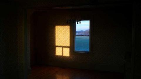 Wire Danger - Bradford West Gwillimbury, Ontario