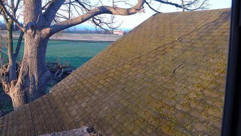 Wired - Wire-Danger16.jpg