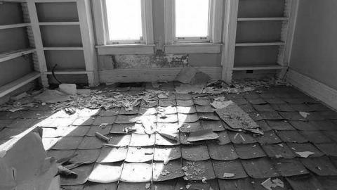 May 8, 2016 - t-DSC00601.jpg