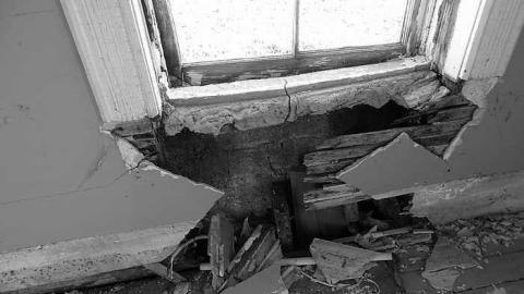 May 8, 2016 - x-DSC00606.jpg