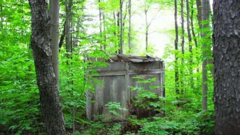Photo from old camp and buildings