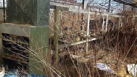 Photo from April 17, 2015