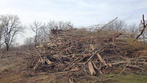 Photo from Last Few Days