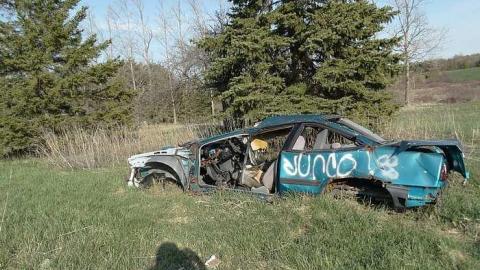 May 10, 2016 - i-DSC00767.jpg