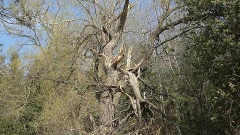 Half Moon Bay  - Highpoint-Of-The-Day156.jpg