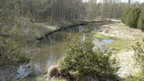 Half Moon Bay  - Highpoint-Of-The-Day98.jpg