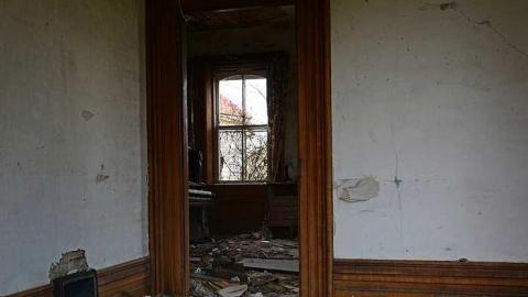 holy wood ticks - l-DSC_5532a.jpg