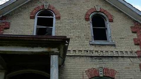 holy wood ticks - n-DSC_5534b copy.jpg