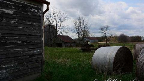 holy wood ticks - f-DSC_5542a.jpg